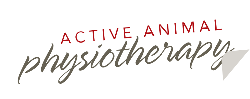 Active Animal Physiotherapy logo
